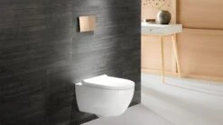 Geberit Acanto Set Wand-WC Tiefspüler, Geschlossene Form, TurboFlush, Mit WC-Sitz -Badmöbel Verkäufe geberit badkeramik und badmoebel acanto wcs 11051455