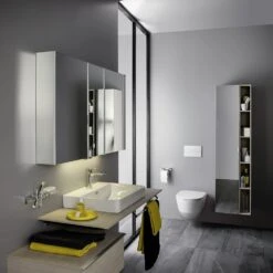 LAUFEN Pro Wand-WC Kombipaket Mit WC-Sitz 4,5/3-Liter