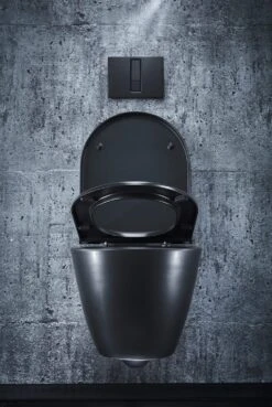 LAUFEN Kartell Spülrandloses Wand-WC Set Inkl. WC-Sitz 21 LAUFEN Kartell Spülrandloses Wand-WC Set Inkl. WC-Sitz -Badmöbel Verkäufe laufen alle serien kartell wc spuelrandloses 11075929